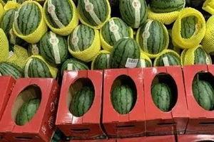 河南大网红吃瓜视频,揭秘娱乐圈幕后真相