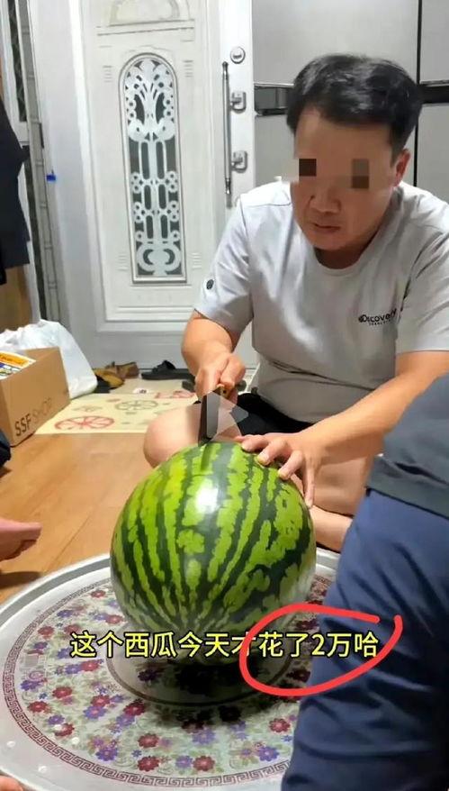 吃瓜视频购买,揭秘热门购买背后的秘密