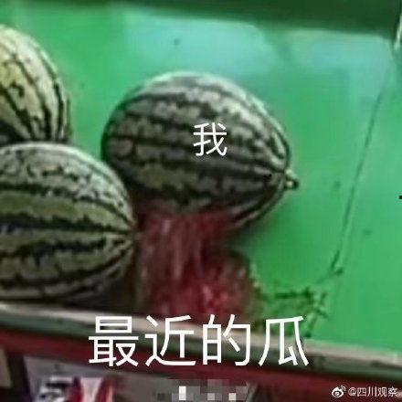 吃今天的瓜了吗,吃瓜群众，你今天瓜了吗？