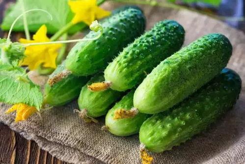 带花水瓜怎么吃,解锁清新口感新体验