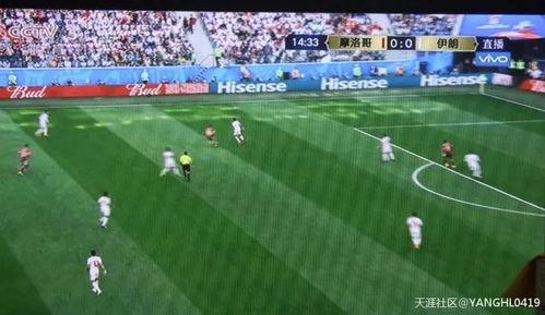 足球纪录吃瓜群众,吃瓜群众视角下的足球传奇